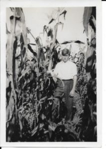 Another shot of Herb in a corn field in the late 1930s.
